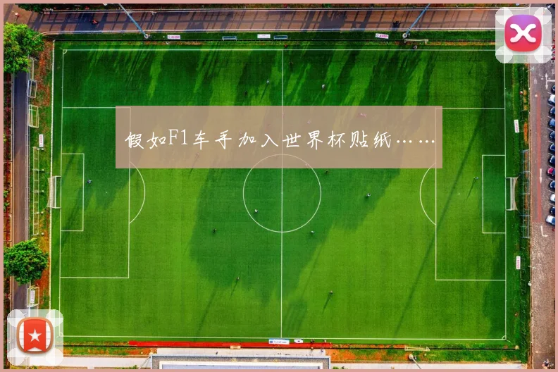 假如F1车手加入世界杯贴纸……