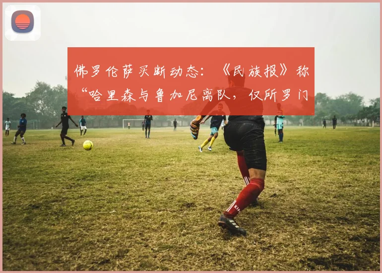 佛罗伦萨买断动态：《民族报》称“哈里森与鲁加尼离队，仅所罗门留队希望”