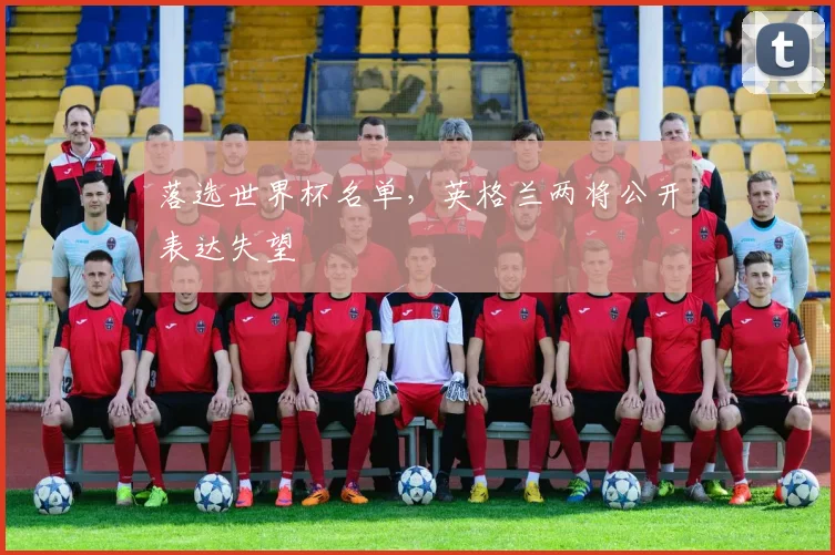 落选世界杯名单，英格兰两将公开表达失望