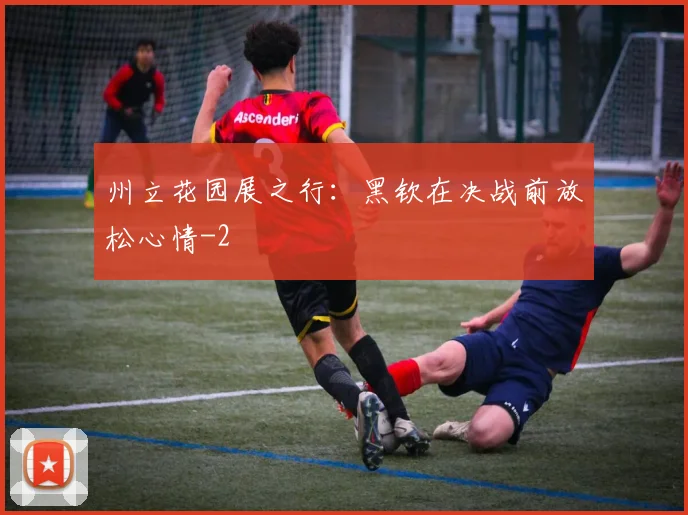州立花园展之行：黑钦在决战前放松心情